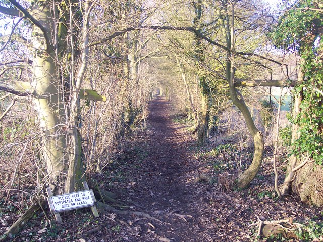 Footpath to the North Downs
