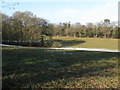 Fallen tree by course of old Roman Road