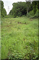 Power line corridor in Pound Wood nature reserve, Benfleet