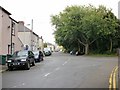 Tregare Street trees, Newport