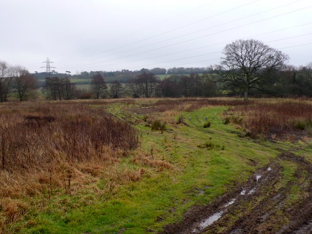 Waterlogged Field