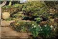 Herbaceous border at Coton Manor Garden (1)