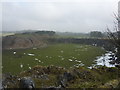 Disused quarry at Cowdale