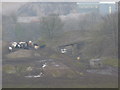 Herd of cattle in a disused quarry