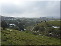 Ravine by Grin Low Road, Buxton