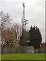 NTL Mobile Phone Mast, Whittaker Moss