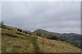 A hillside path above Dovedale