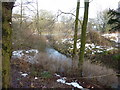 Woodland stream in Buxton