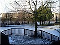 Frozen pond by the River Tay