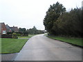 A wet January afternoon in Pigeonhouse Lane