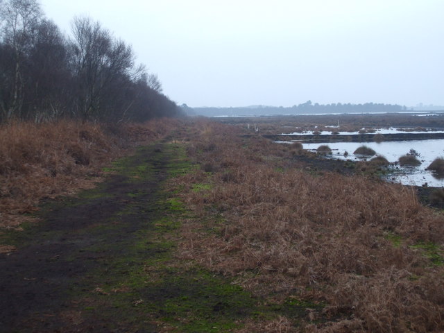 Track alongside the re-flooded peat workings