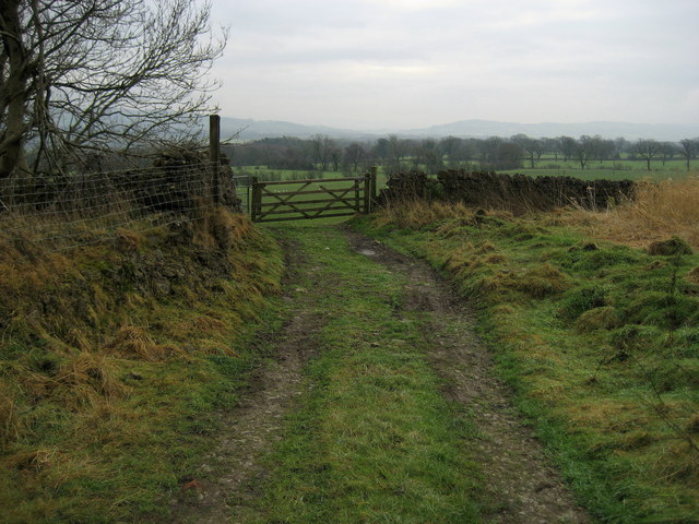 Track beside Withgill Knoll