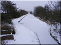 Frozen Canal