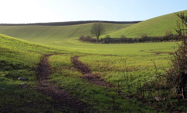 Combe near Brownscombe Wood