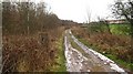 Road, Faskine Community Woodland