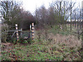 Footpath to Red Lodge