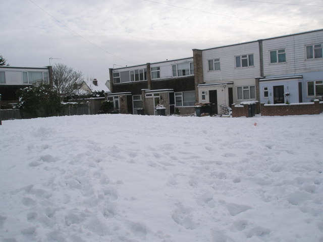 A snowy Juniper Square (4)
