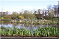 Pond, Maxwell Park