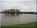 TA1852 : Flooded  Pond by Martin Dawes