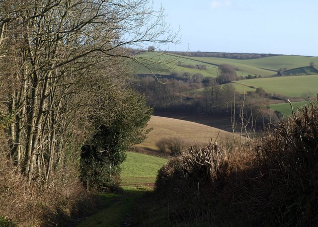Track, Brownscombe Hill