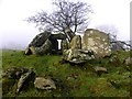 Chambered grave, Beltany (1)