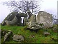 Chambered grave, Beltany (5)