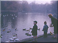 Feeding the ducks in Hesketh Park