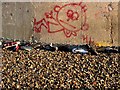 Trainers Graveyard on Safety Chains at Battersea Reach