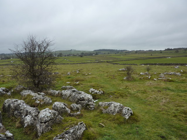 Limestone outcrops in field south of Biggin