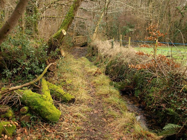 Footpath in the Wiltown Valley (2)