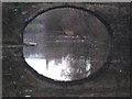 Bacon Lane Bridge, Sheffield and Tinsley canal