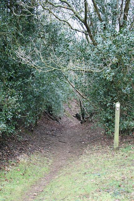 Bridleway to Compton