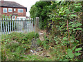 Gate leading to access road behind shops on Egerton Road South