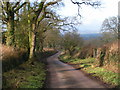 Lane to Wimple near Aller Grove