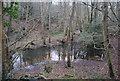 Pond, Tanyard Wood