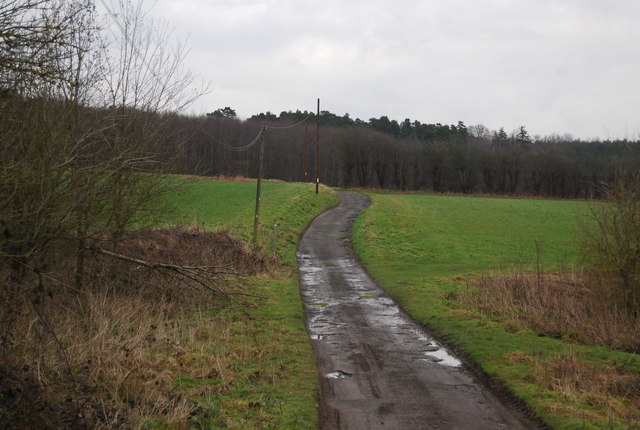 Lane north of Tanyard Farm