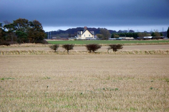 Across the fields
