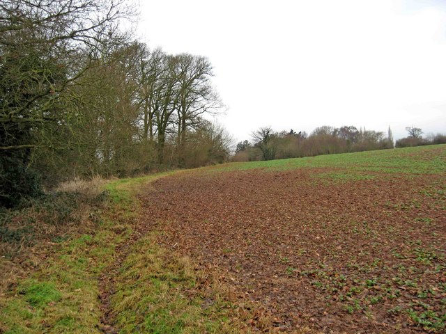 Field viewed from the Wychavon Way