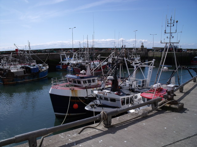 Pittenweem, harbour scene
