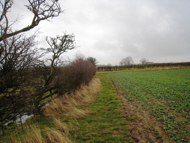 Footpath near Barley Hill