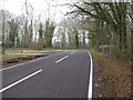 Sharp bend on the Shillinglee Road north of Gaston