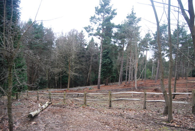 Fence, the southern edge of Bedgebury Pinetum