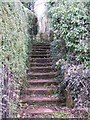 Steps, West Tytherley