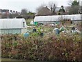 Allotments lying between the Erewash and disused Derby canals