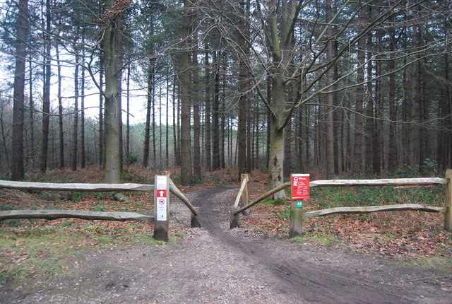 bedgebury forest mtb