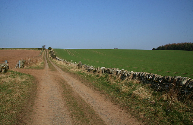 Farm track near Carsebank
