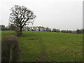 Field Near Elton Hall