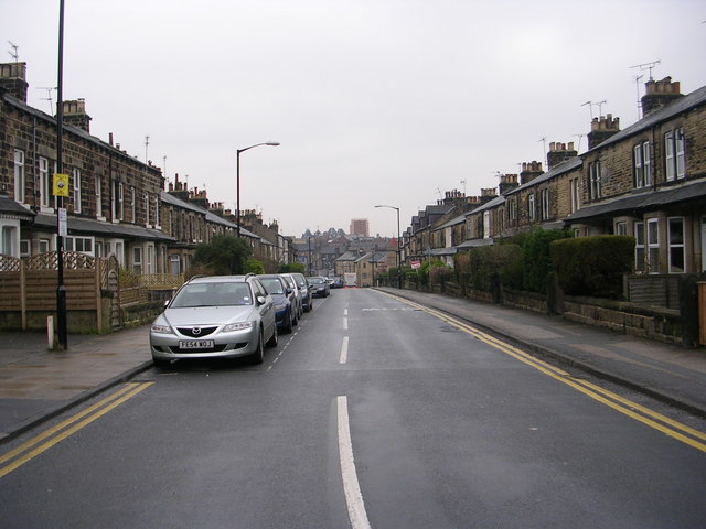 Mayfield Grove - viewed from Mayfield Place