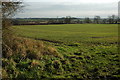 Arable land near Inkberrow