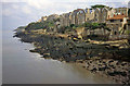 Clevedon shoreline